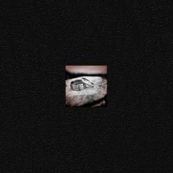 Page-00-WINDOW-COVER